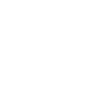 Expertise icon